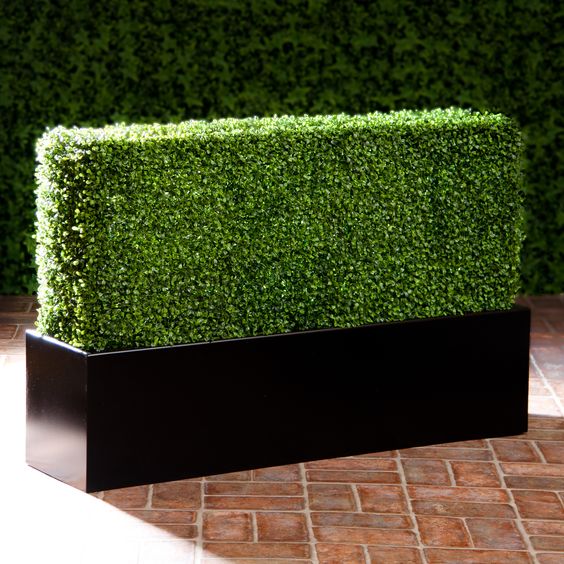 Boxwood Hedge Panels 4ft x 4ft